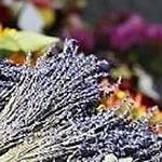 Località e Curiosità