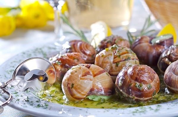 Escargot - Prelibatezza Francese