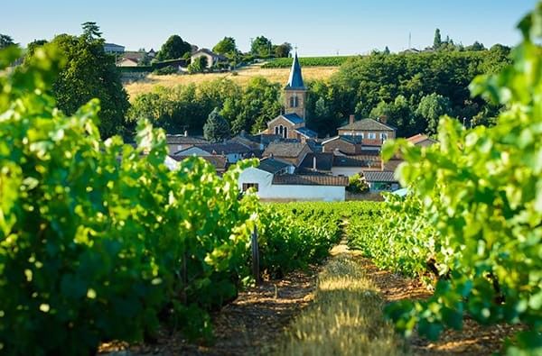 Festa del Beaujolais Nouveau