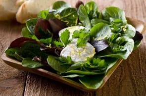 Insalata con formaggio di capra