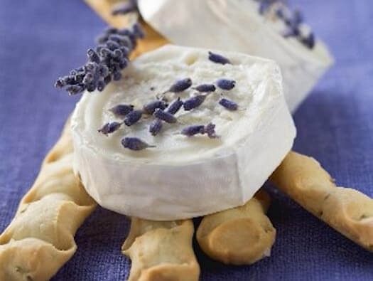 Primi Piatti con Brie